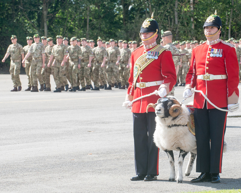 2nd Battalion The Mercian Regiment and their ram mascot celebrate Formation Day at Dale Barracks, Chester, 2015. The regiment was established in 2007 by the amalgamation of three existing regiments.