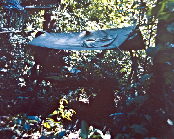 A jungle shelter in Borneo, c1964