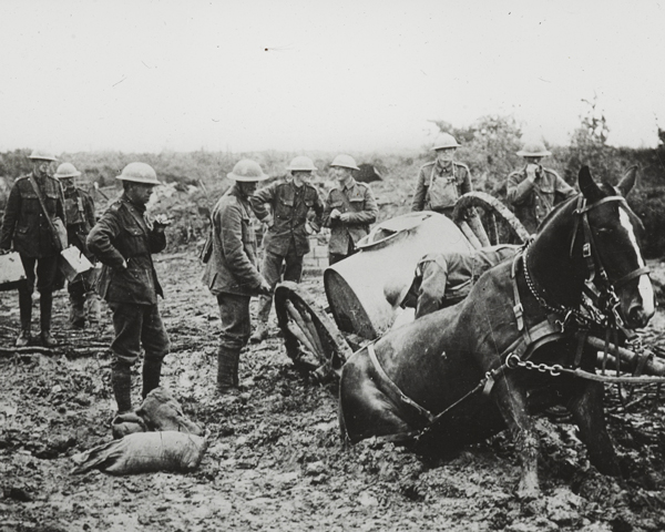 A horse-drawn water cart stuck in the mud at St Eloi, 11 August 1917