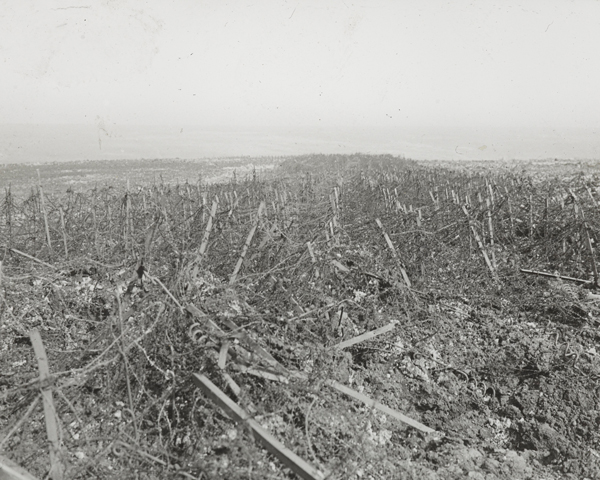 Wire entanglements of the Hindenburg Line near Heninel, May 1917
