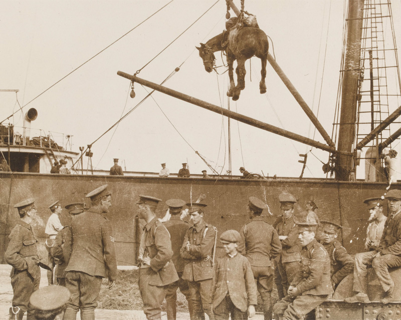 Unloading horses at Boulogne, c1916