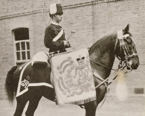 Drum horse of the 13th Hussars, c1912