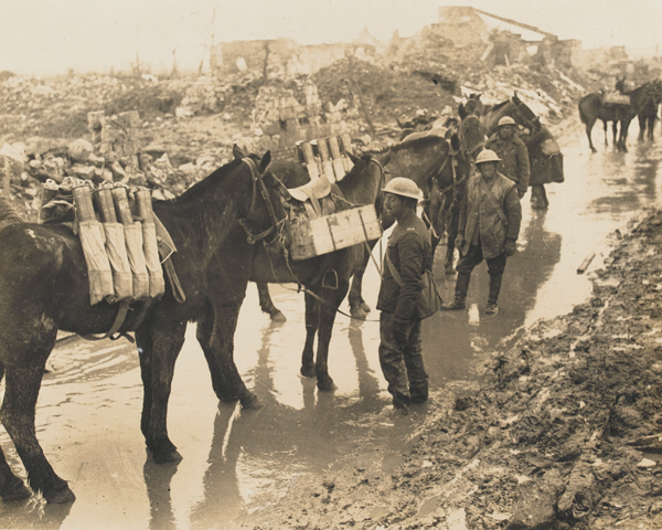 Horses carrying ammunition, c1917 