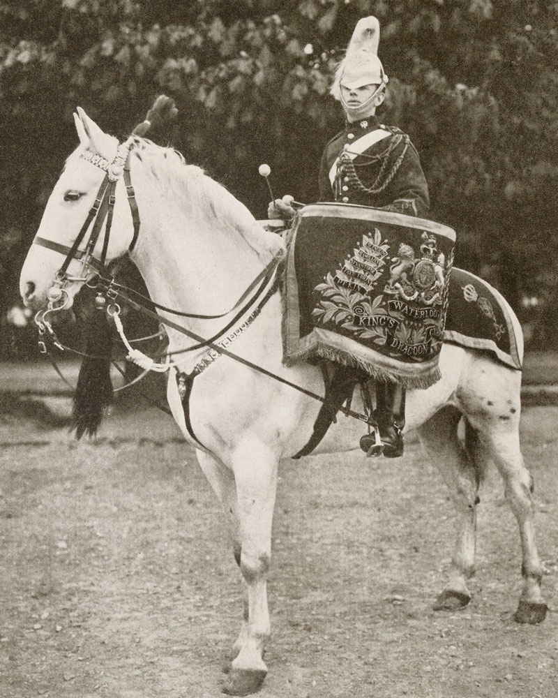 Drum horse of the 1st (King’s) Dragoon Guards, c1912