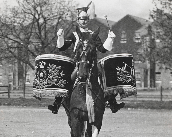 Drum horse of the 17th/21st Lancers, 1922 (c)