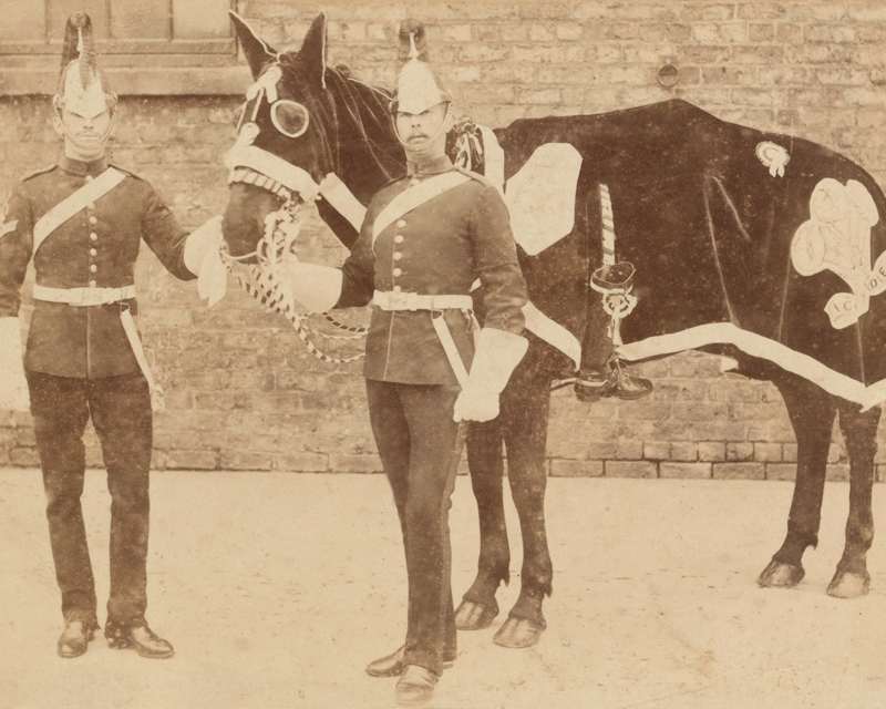 Horse of 3rd (Prince of Wales’s) Dragoon Guards prepared for the funeral of the Duke of Clarence, 1892