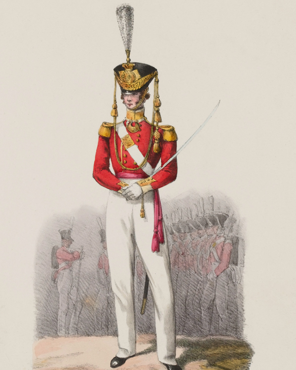 An officer of the 83rd Regiment, 1828