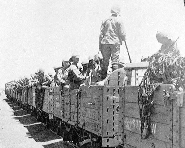 Members of The Wiltshire Regiment moving by train, South Africa, 1900