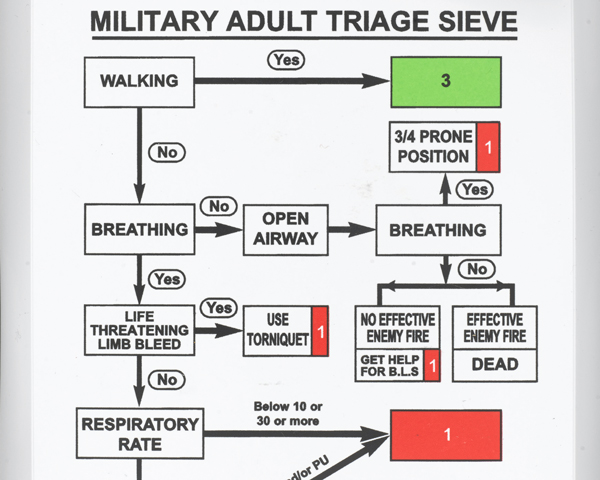 Triage cards used to establish the severity of wounds before transfer to Camp Bastion, c2013