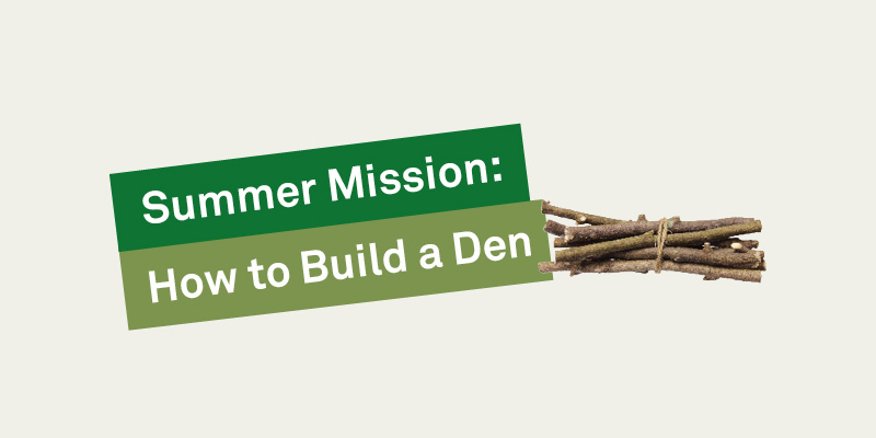 How to Build a Den