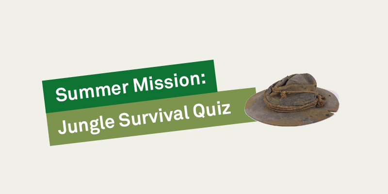 Jungle Survival Quiz
