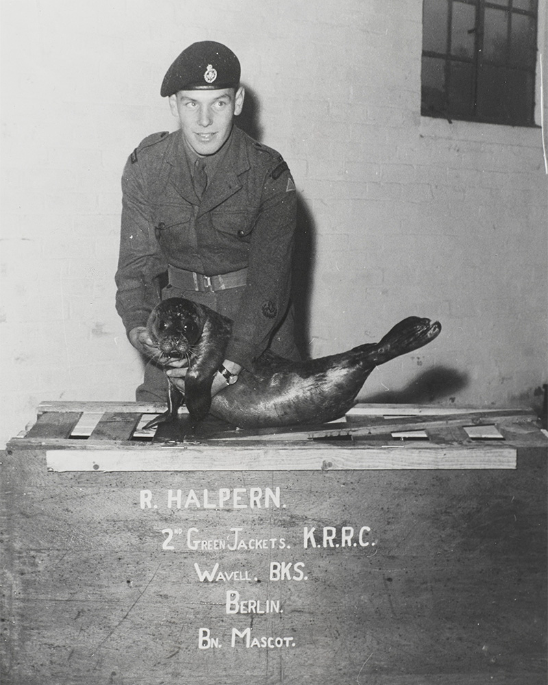 Rifleman Halpern, 2nd Green Jackets, The King’s Royal Rifle Corps, with the battalion mascot, a pet seal, Berlin, c1960