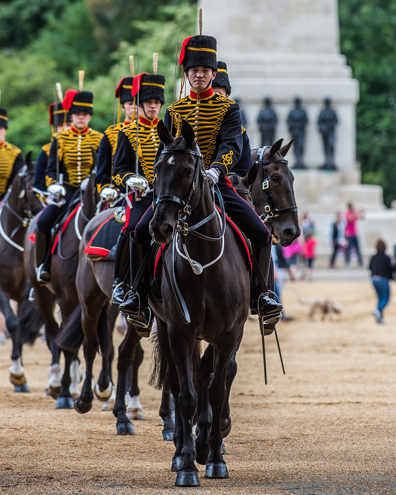 The King's Troop, Royal Horse Artillery, Horse Guards Parade, London, 2016