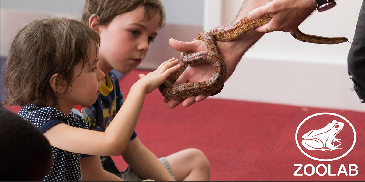 Children having a ZooLab encounter with a snake