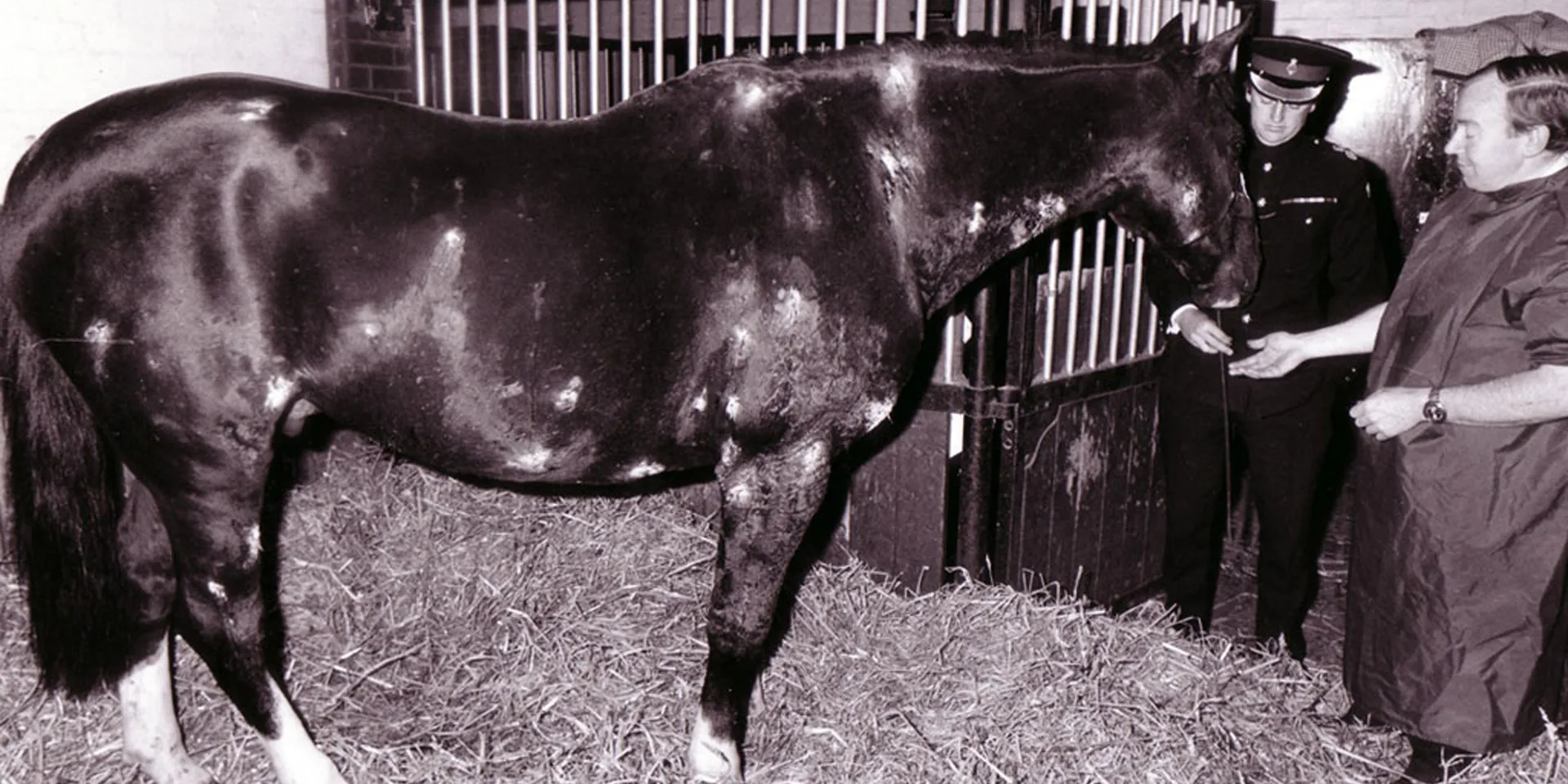 Sefton recovering from his wounds, c1983