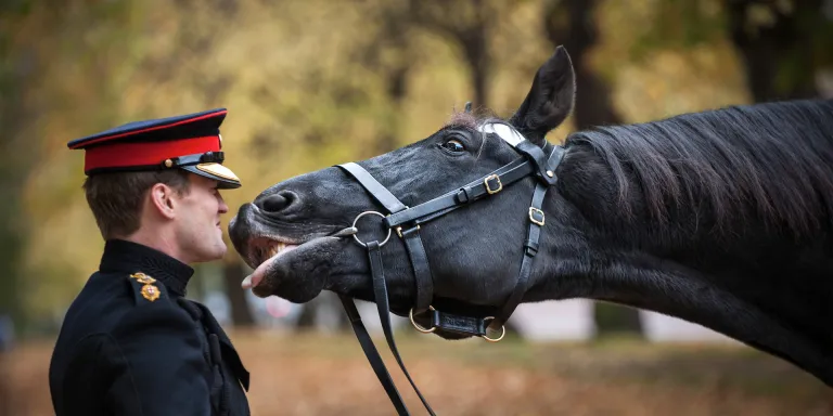 Thomas giving Captain Charlie Fitzroy a goodbye kiss on his retirement, 2012