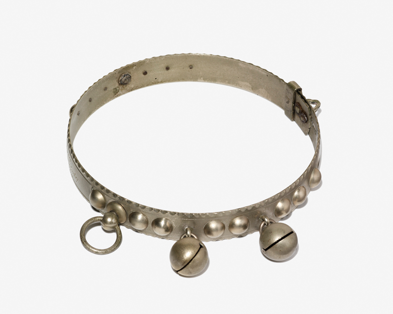 Biddy's Dog Collar, 1895