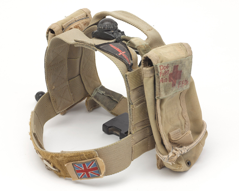 Medical harness worn by Diesel in Afghanistan