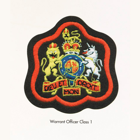 Warrant Officer 2,RQMS Rangschlaufen DPM,datiert 2009 British Army