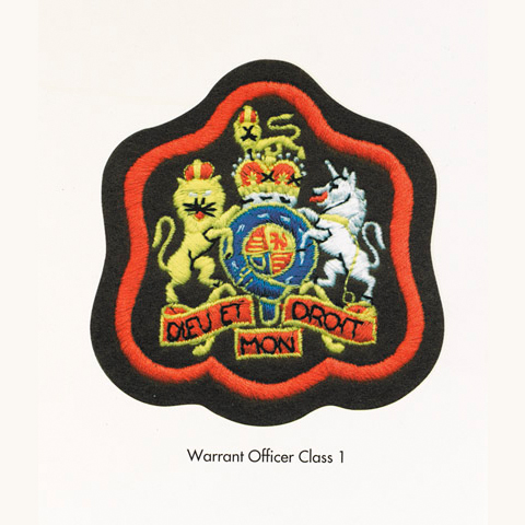 Warrant Officer Class 1