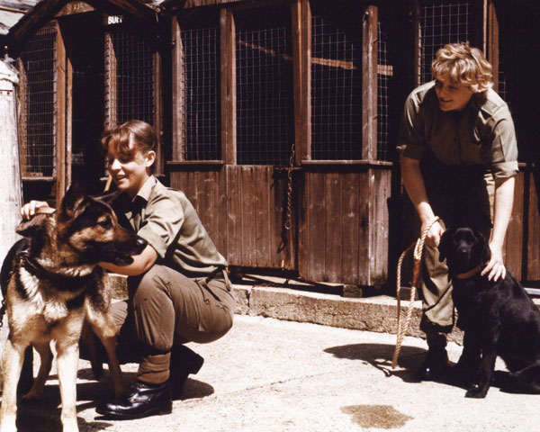 WRAC women on secondment to the Royal Army Veterinary Corps, c1975