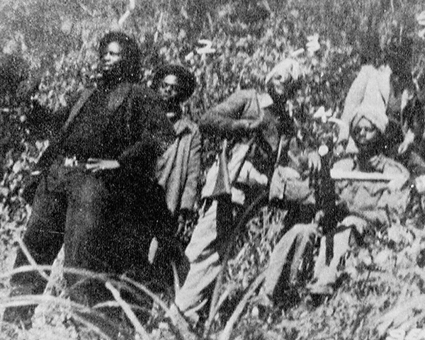Mau Mau fighters in the jungle, 1954