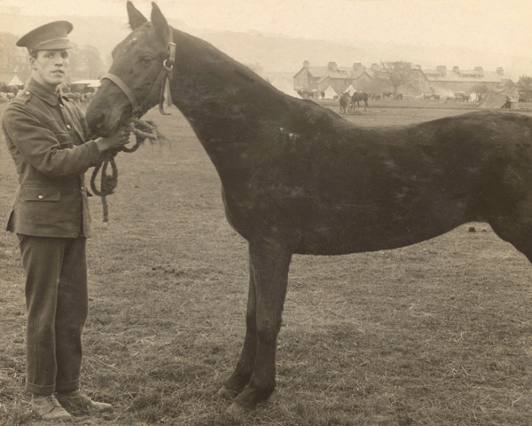 comes home shell shocked from WWI's gas, tanks, dying horses