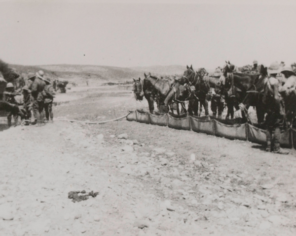 Royal Buckinghamshire Hussars watering their horses, 1915