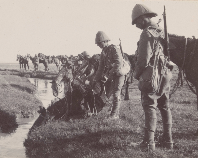 Mounted Infantry watering their horses, South Africa, 1901