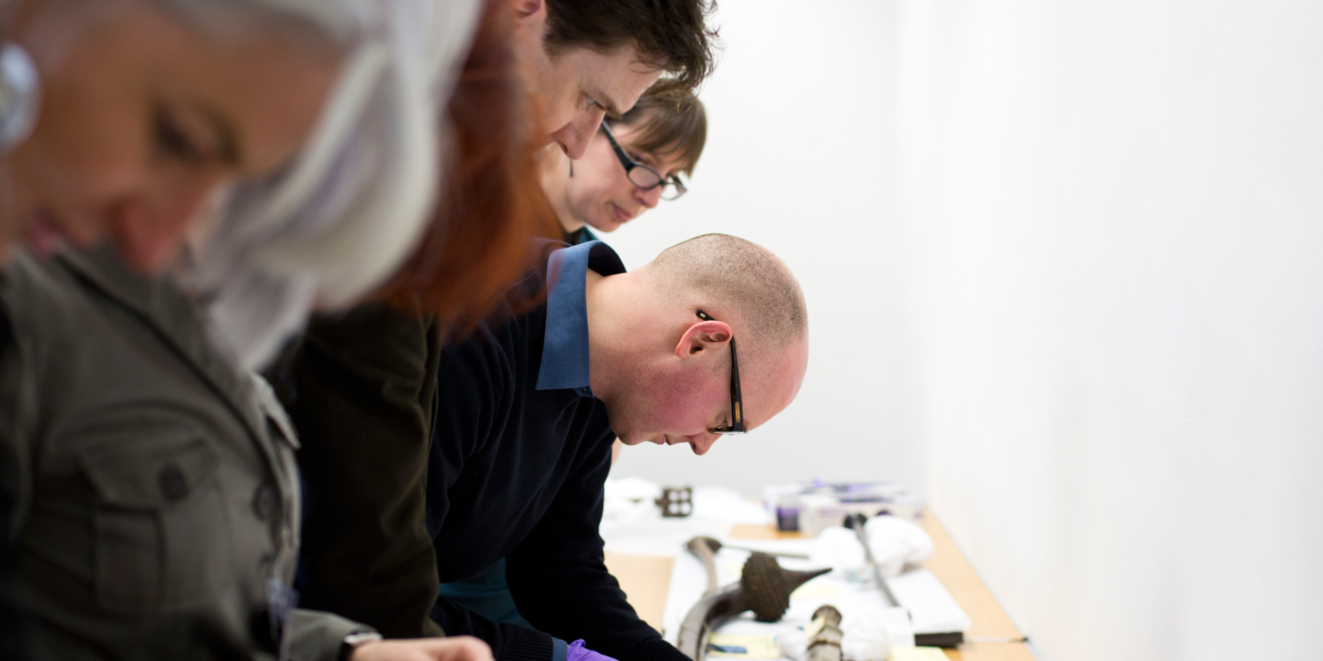 Curator inspecting collection