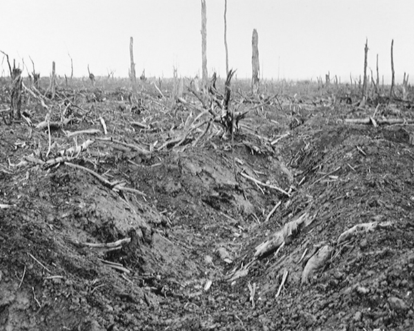 An abandoned German trench in Delville Wood near Longueval, September 1916