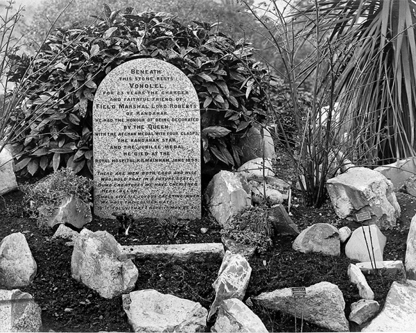 Vonolel’s grave at the Royal Hospital Kilmainham, he is the only 4-legged soldier buried there. 