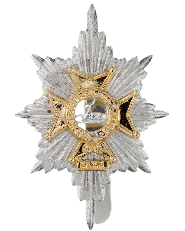 Cap badge, The Worcestershire and Sherwood Foresters Regiment, c1970