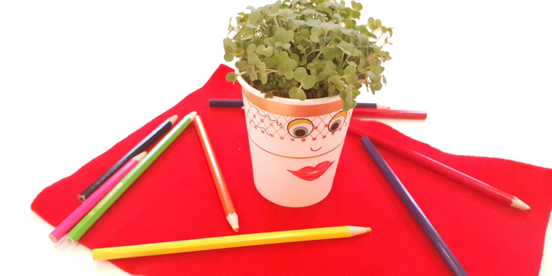 Decorated cress head