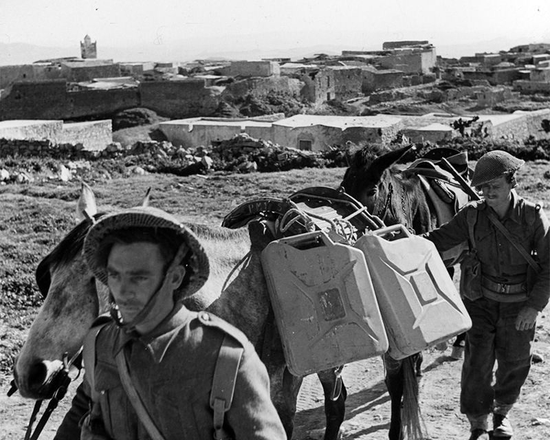 Men of 2nd Battalion, The Lancashire Fusiliers, leading mules, Tunisia, April 1943