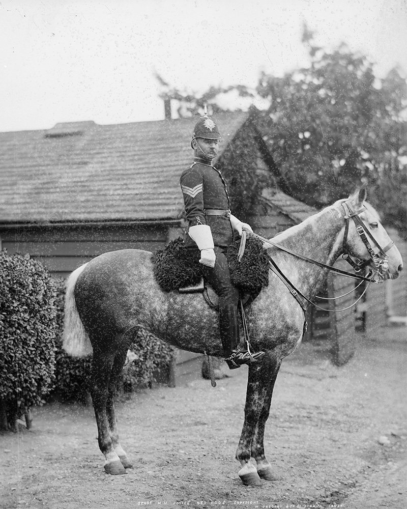 Sergeant, Military Mounted Police, Aldershot, c1895