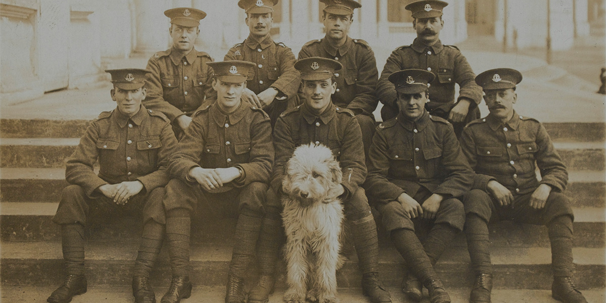 17th (1st Football) Battalion, Middlesex Regiment, c1915