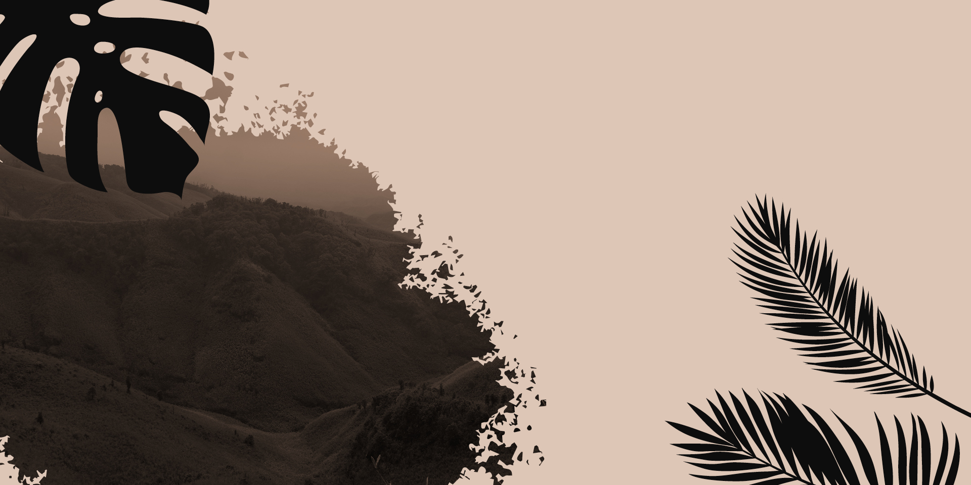 A graphical composite image representing the event