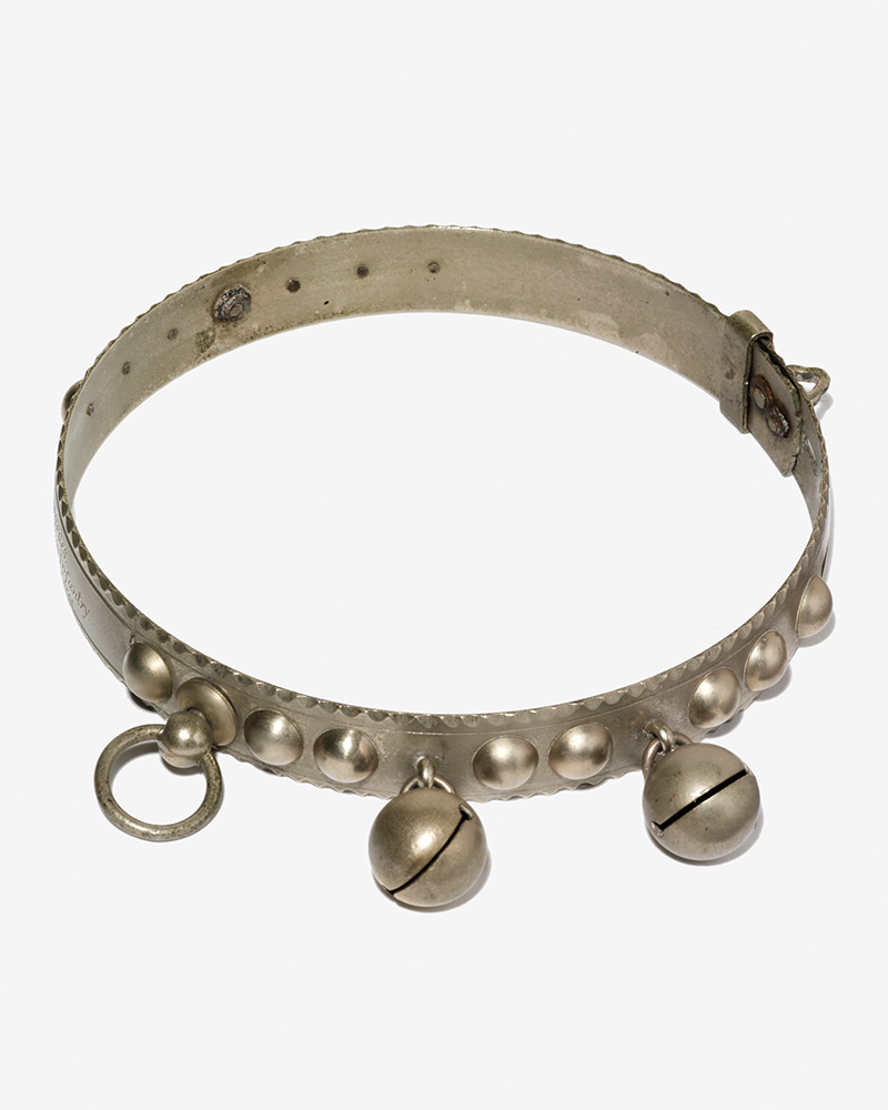 Biddy's collar, 1895