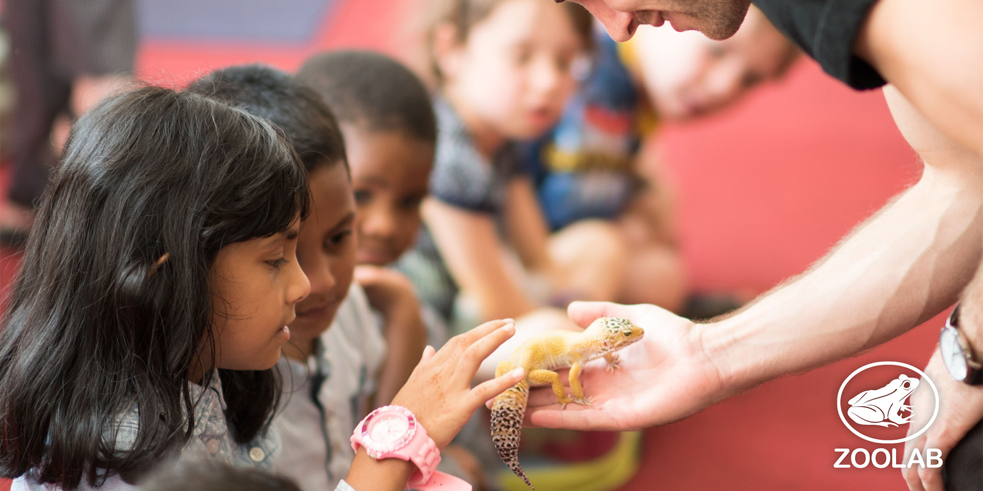 Children having a ZooLab encounter with a gecko