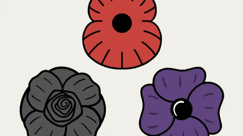 Poppies and Remembrance: Gallery Trail