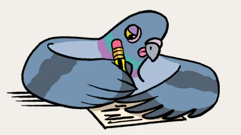 Decode and Discover Trail