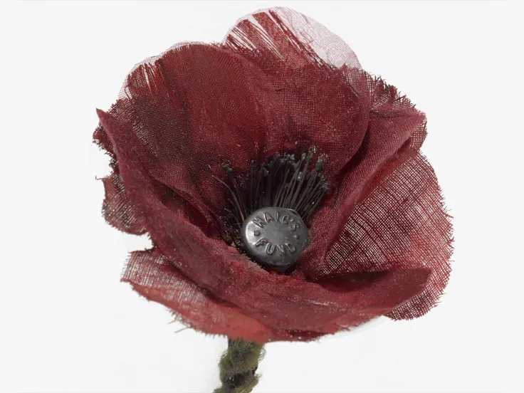 Scottish poppy