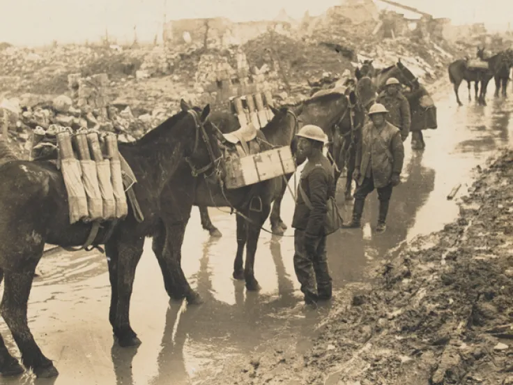 comes home shell shocked from WWI's gas, tanks, dying horses