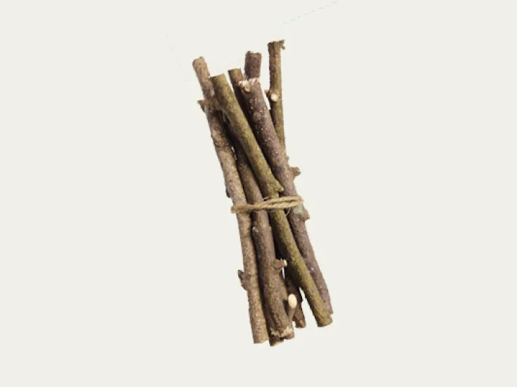 How to Build a Den 