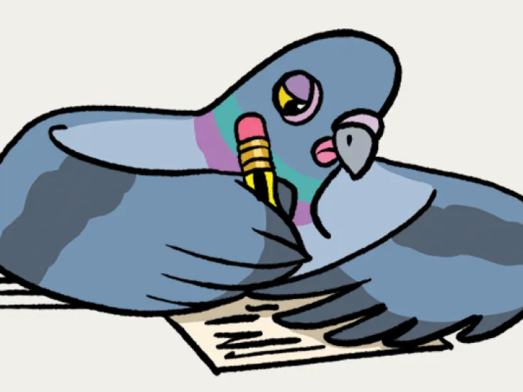 Decode and Discover Trail