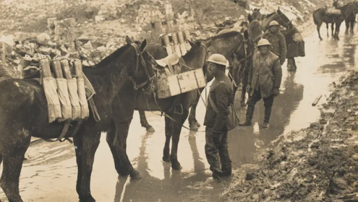 Horses carrying ammunition, c1917