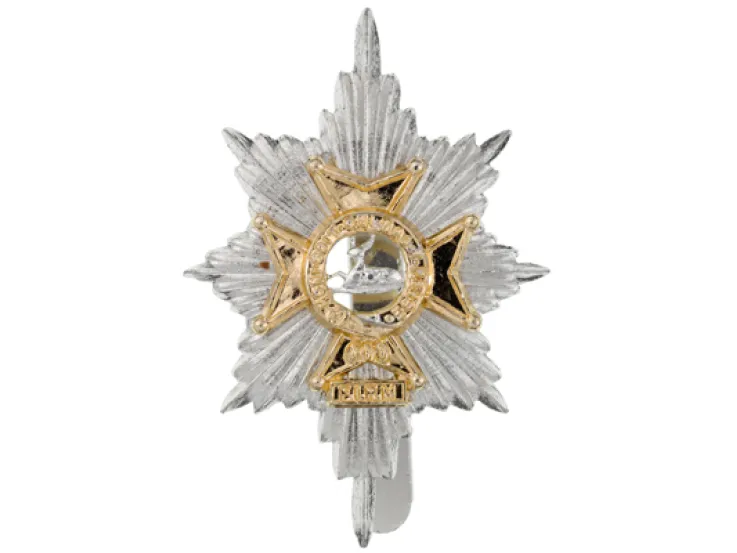 Cap badge, The Worcestershire and Sherwood Foresters, c1970