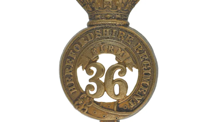 Glengarry badge, 36th (Herefordshire) Regiment, c1874