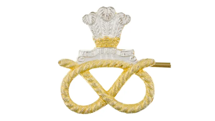 Cap badge, The Staffordshire Regiment (Prince of Wales's), c1990